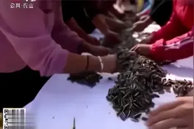 全国最大的食用向日葵生产基地 将葵花籽 卖到全世界93个国家视频封面