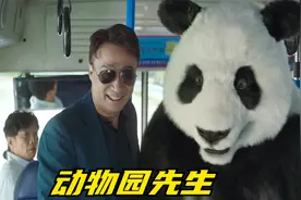 男人意外摔了一跤，结果就能听懂动物说话了，于是在家开个动物园视频封面