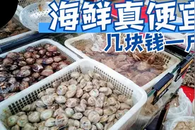 来海边度假就要吃海鲜，扇贝海蛎子几块钱一斤真便宜，吃起来过瘾视频封面
