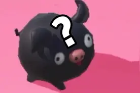 小 猪 软 乎 乎视频封面