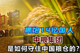 喂饱中国14亿人口，中粮集团是如何凭一己之力，守住中国粮仓的？视频封面