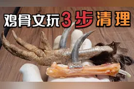 文玩鸡爪骨制作流程讲解第三步：去皮清理视频封面