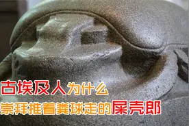 古埃及人为什么崇拜推着粪球走的屎壳郎视频封面