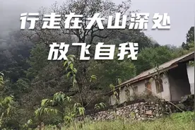 原创诗歌朗诵：行走在大山深处。在大山里，放飞自我。视频封面