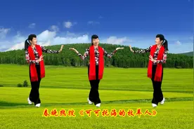 今年春晚火爆歌曲《可可托海的牧羊人》感动了全场的所有人视频封面