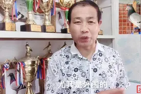 什么是血统鸽子，血统鸽子是怎么来的？看看农村大叔说的对不对视频封面