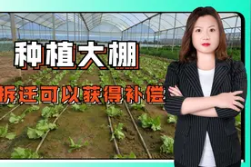 燕晓静律师：农用地上种植大棚不是违建，拆迁可以获得补偿！视频封面