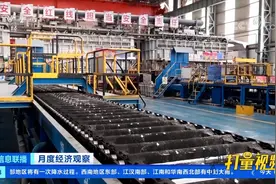 铝价一年涨50%，电解铝产能临近上限|经济信息联播视频封面