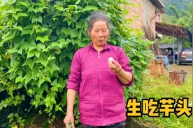 伯娘今天给粉丝们露一手生吃芋头，这吃法你见过吗？听听她怎么说视频封面