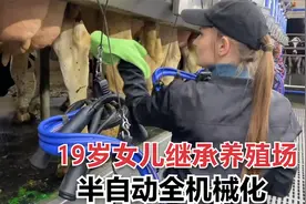 19岁美女管理几百头奶牛，全机械半自动化养殖场，国内差距还是大视频封面