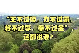 “王不过项，力不过霸，将不过李，拳不过金”，这都说谁？视频封面