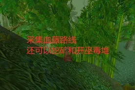 魔兽世界怀旧服分享一个采集血藤路线，顺便还可以挖矿和开巫毒堆视频封面