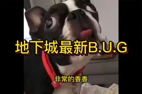 地下城最新B.U.G卡经验胶囊视频封面