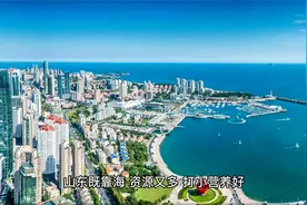 卢克文：山东的实力离德国多远，全国唯一拥有所有工业门类的省份视频封面