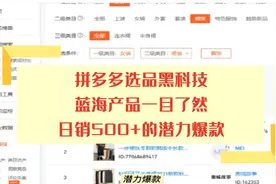 拼多多选品黑科技，蓝海产品一目了然，日销500+的潜力爆款视频封面