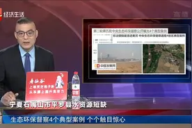 生态环保督察4个典型案例 个个触目惊心视频封面