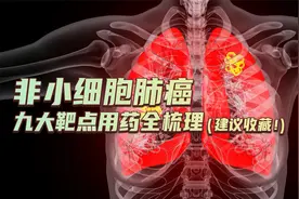 非小细胞肺癌九大靶点用药全梳理视频封面