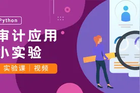 【财码上新】Python审计应用小实验：凭证数据规范检查视频封面