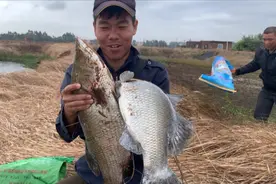 废弃鱼塘钓大鱼 人都差点拉下去鱼杆都弯了 这下晚上有要开大餐了视频封面