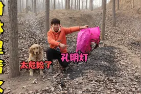 孔明灯引燃树林里树叶，幸亏小亮及时赶到，金毛建议取消放孔明灯视频封面