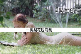 一树梨花压海棠视频封面