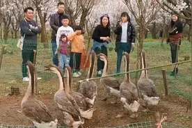 硬核套圈！摊贩摆摊设套鹅游戏：喊家里人先烧水视频封面
