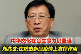 中华文化在台生命力仍坚强，刘兆玄：在抗击新冠疫情上发挥作用视频封面