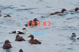 被特别在乎的人忽略，会很难过，而装作不在乎，会更难过。