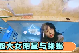 程潇的宠物是蜥蜴，在家拿蟑螂喂养！胆大女明星与蜥蜴互动名场面视频封面