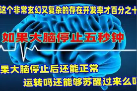 如果大脑停止工作,就会宣布脑死亡？人的大脑居然一直是在运转？视频封面