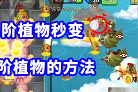 植物大战僵尸2：1阶植物秒变5阶的方法来了，让你白嫖5阶视频封面