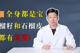 石榴全身都是宝，石榴籽和石榴皮都有药用！视频封面