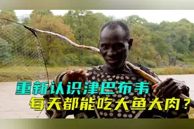 津巴布韦农场主的真实生活，每天却能吃大鱼大肉？非洲真实纪录片视频封面