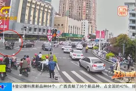 市区惊现拖拉机 连闯红灯还逼停公交车视频封面