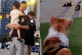 狗狗认出做绝育的兽医破口大骂，主人拦都拦不住：就差开口说话了视频封面