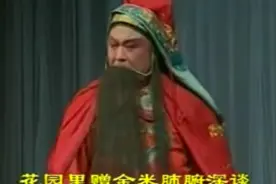 两夹弦（二夹弦）《王宝钏-武家坡》山东荷泽市定陶两夹弦剧团视频封面