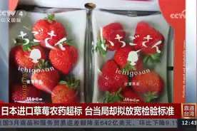 日本进口草莓农药超标 台当局却拟放宽检验标准视频封面
