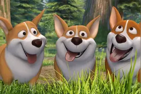 熊出没之探险日记：柯基虽可爱，可惜爱拆家视频封面