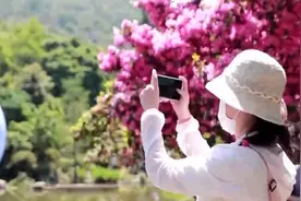 深圳仙湖植物园成热门打卡点！市民抢票来赏花视频封面
