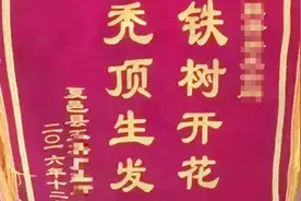 村长收到奇葩锦旗，这“秃顶生发，铁树开花”是几个意思？视频封面
