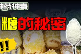 糖是一种毒品你敢信吗？为什么人会对糖上瘾，背后谁在操控一切视频封面