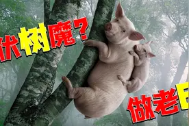 神经哥解说：没人比我更懂苟，蹲树上看耍猴呢？永劫无间！视频封面