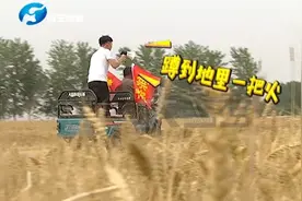 高手在民间，今年禁烧“硬核”标语亮了！视频封面