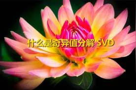 什么是奇异值分解SVD【转载】视频封面