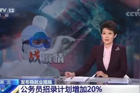 湖北：公务员招录计划增加20% 事业单位招聘计划3万名以上视频封面