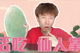 肥龙吃三十厘米仙人掌，口感苦涩痛苦至极，愿天堂再也没有仙人掌视频封面