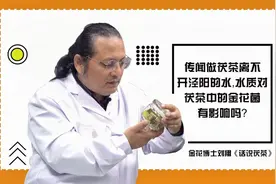 传闻做茯茶离不开泾阳的水，水质对茯茶中的金花菌有影响吗？视频封面