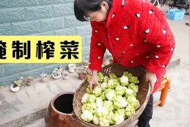 地里的榨菜成熟了，老妈用农村传统方法腌制，简单快速又好吃视频封面
