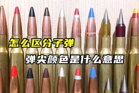 怎么区分子弹，弹尖不同颜色代表什么意思视频封面