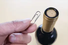 才知道开红酒这么简单，用回形针就能搞定，不需开瓶器，方法真棒视频封面